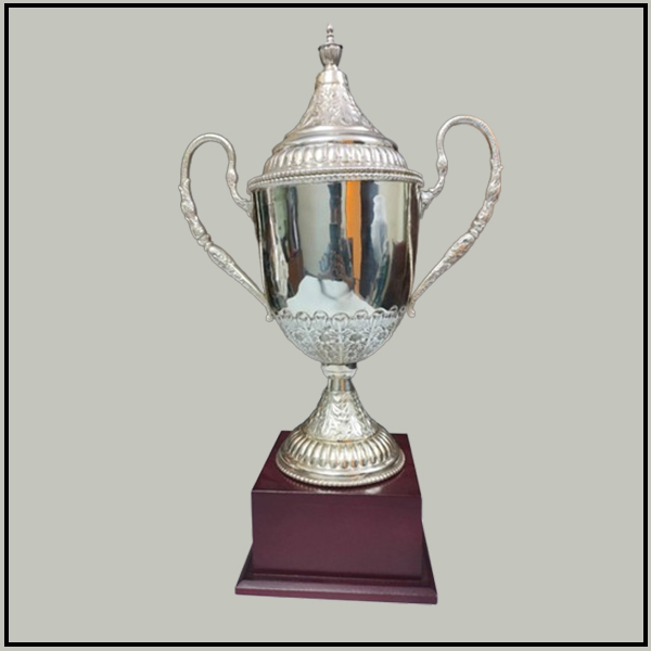 Brass and Silver Polish Cup