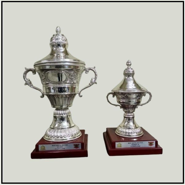 Premium Silver Trophy Cup with Base