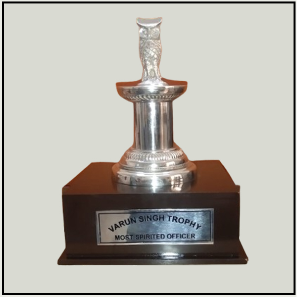 Owl Head Statue Trophy