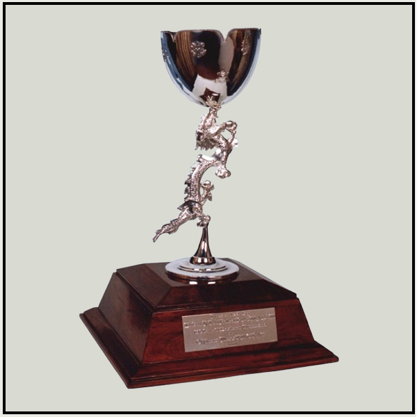 Silver Metal  Award