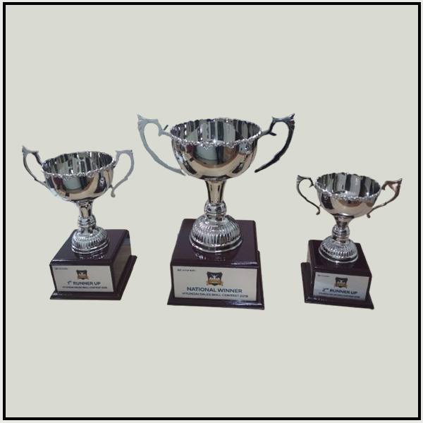 Silver Metal Trophy Cup 005