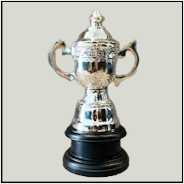 Silver Cup Award