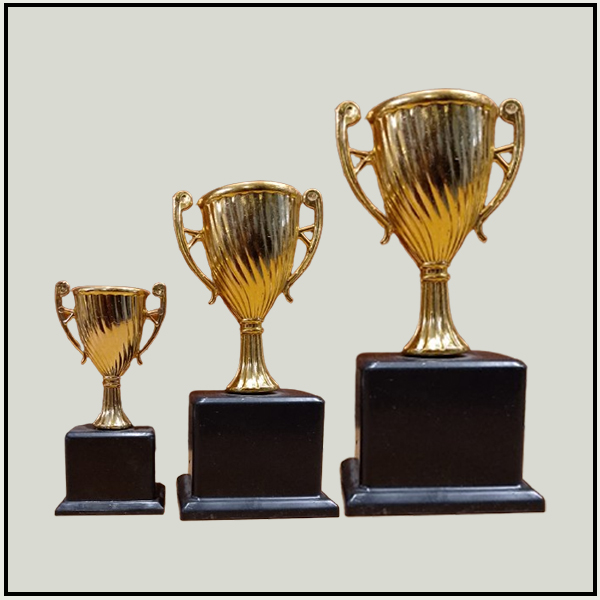 Gold Trophy Cup