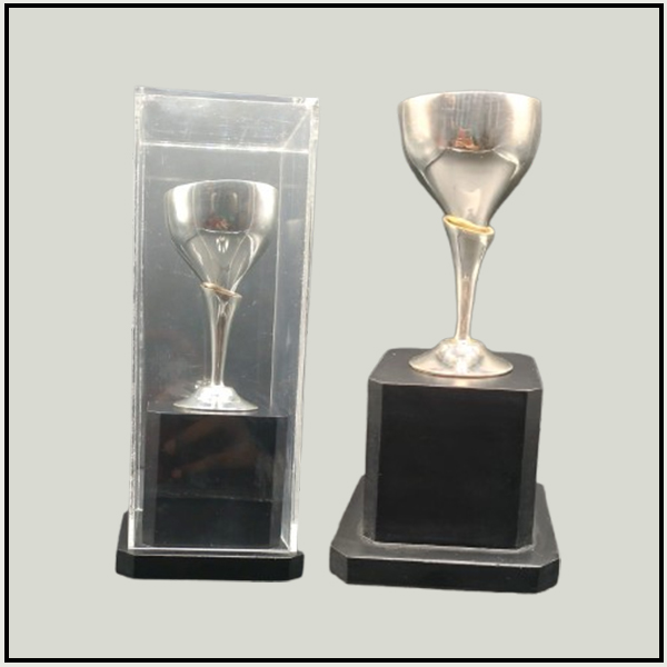 Printed Sports Trophy