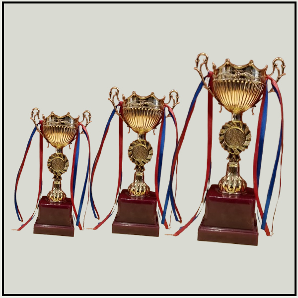 Delta Gold Cup Award Trophies