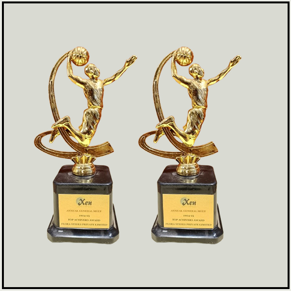 Basket Ball Winner Award
