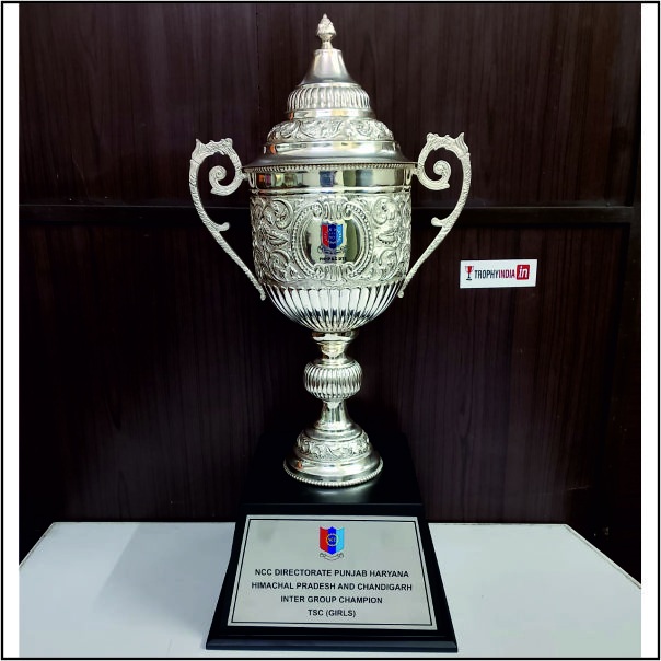 Premium Army & Air Force Trophies | Serving Delhi Cantt, Leh & Ambala
