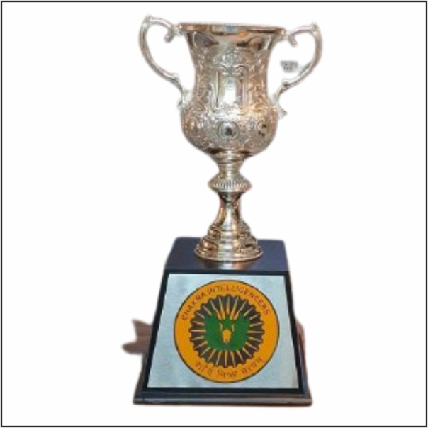 Customized Pure Silver Look Army & Air Force Trophies | Delhi NCR