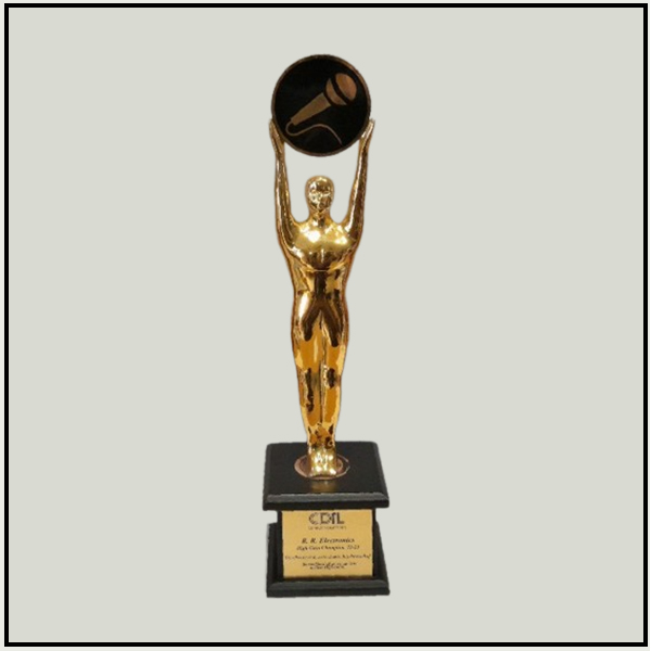 Buy Custom Metal Awards & Trophies Online | Premium & Budget-Friendly
