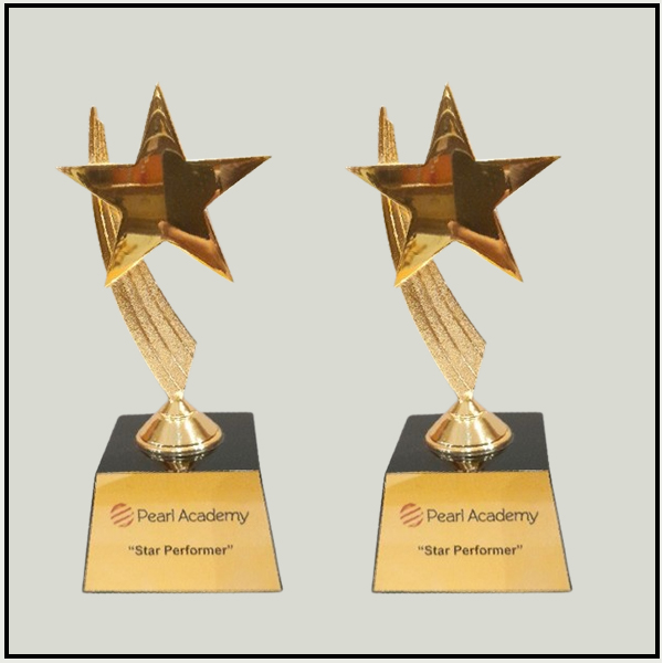Star Performer Awards | Custom Gold Metal Trophies for Schools & Corporat