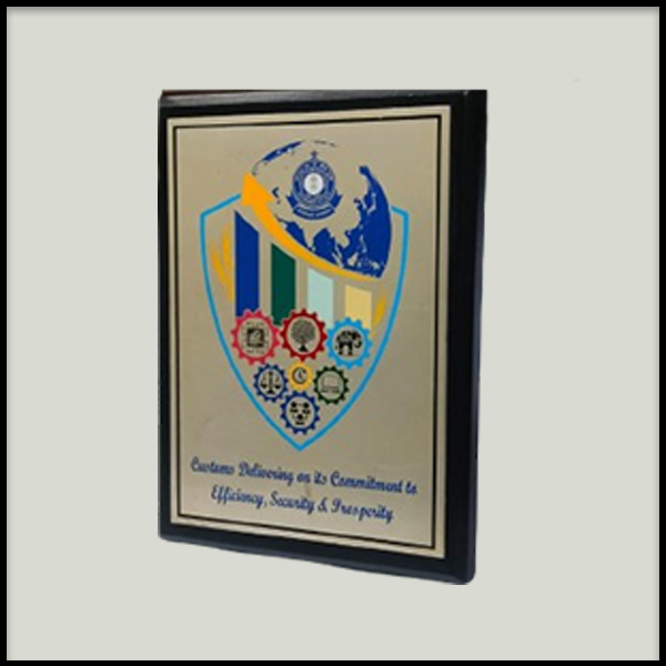 Custom Corporate Excellence Plaques | Institutional Awards Delhi NCR