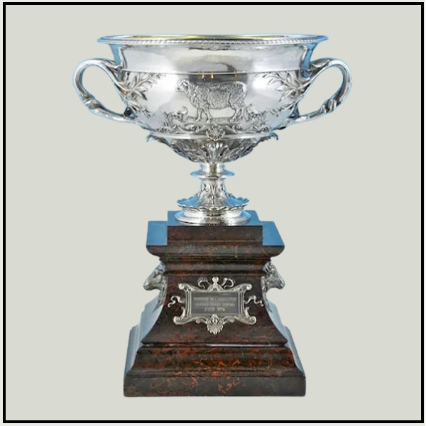 Best Silver Metal Trophy Manufacturers Delhi | Army Mess Awards