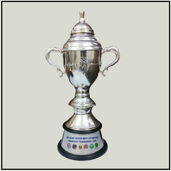 Best Silver Metal Trophy Manufacturers Delhi | Army Mess Awards