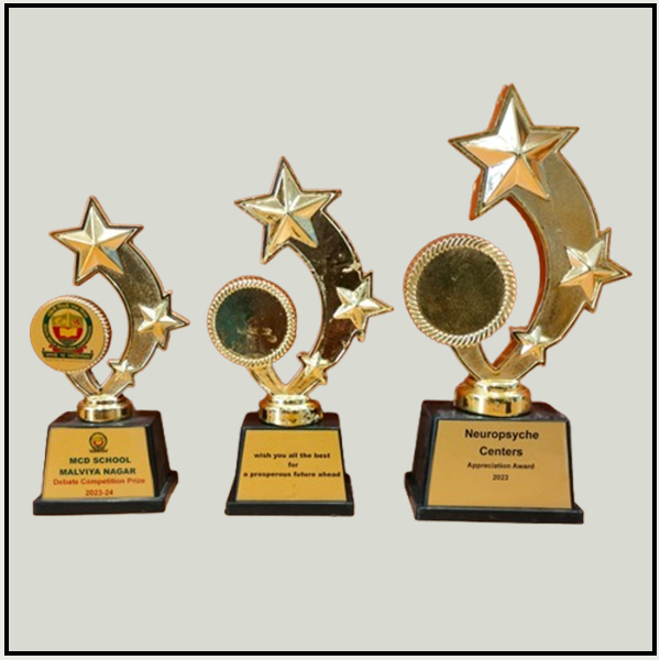 Triple Star Fiber Trophies | Budget Awards for Schools & Offices Delhi-NCR