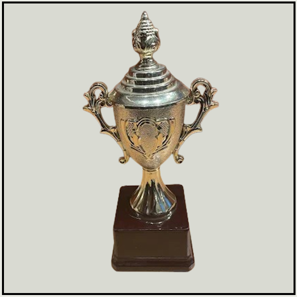 Classic Silver Fiber Trophies | Budget Championship Cups Delhi-NCR