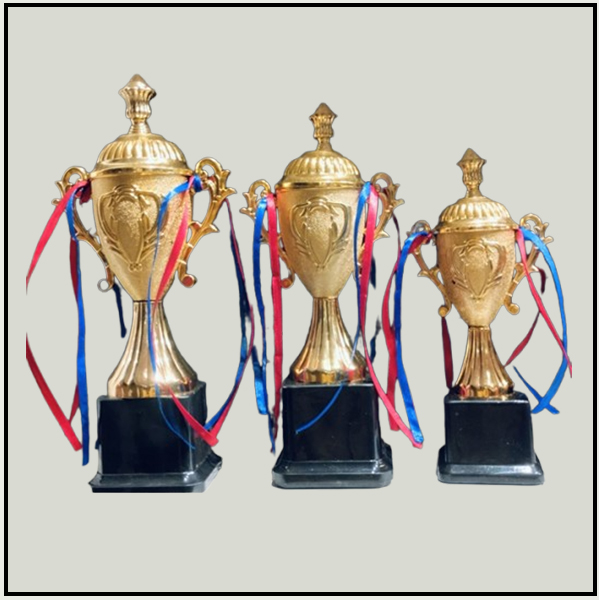 Gold Victory Cup Fiber Trophies | Ranked Award Sets Delhi-NCR