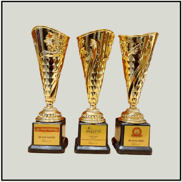 Diamond-Cut Gold Fiber Trophies | Premium Budget Awards Delhi-NCR