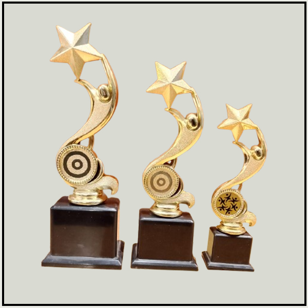 S-Curve Star Fiber Trophies | Premium Corporate Excellence Awards Delhi-NCR