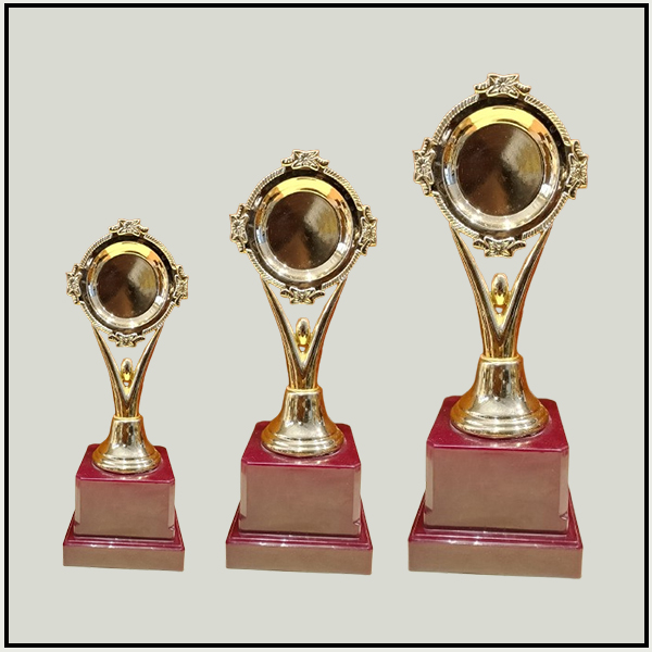 Versatile Fiber Trophies Delhi | Custom Logo Awards Noida & Gurgaon