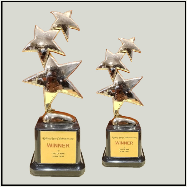 Triple Star Fiber Trophies Delhi | Achievement Awards Noida & Gurgaon