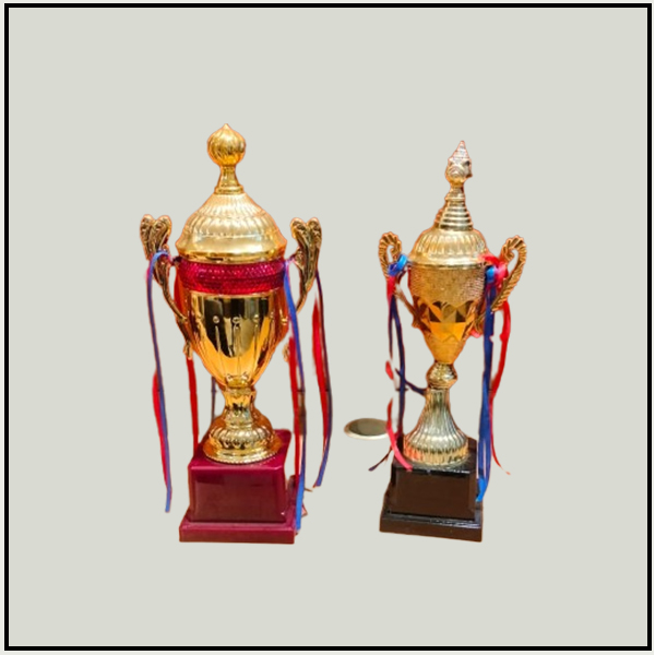 Imperial Fiber Trophy Cups Delhi | Grand Championship Awards Noida