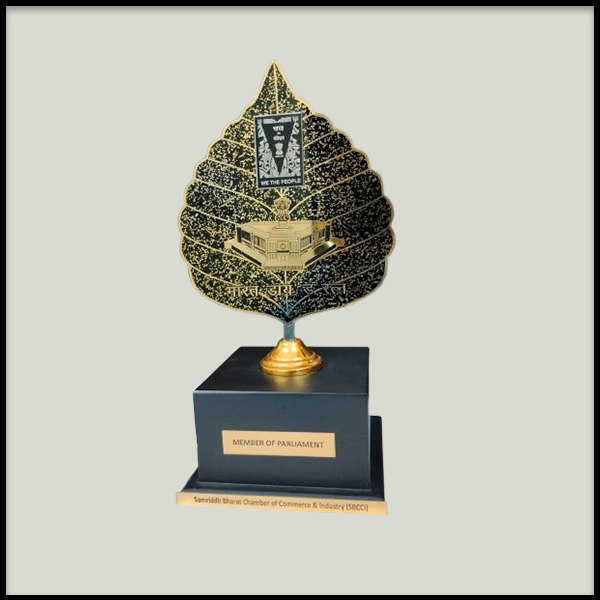 Custom Awards & Trophies Manufacturers in Delhi NCR | TrophyIndia.in