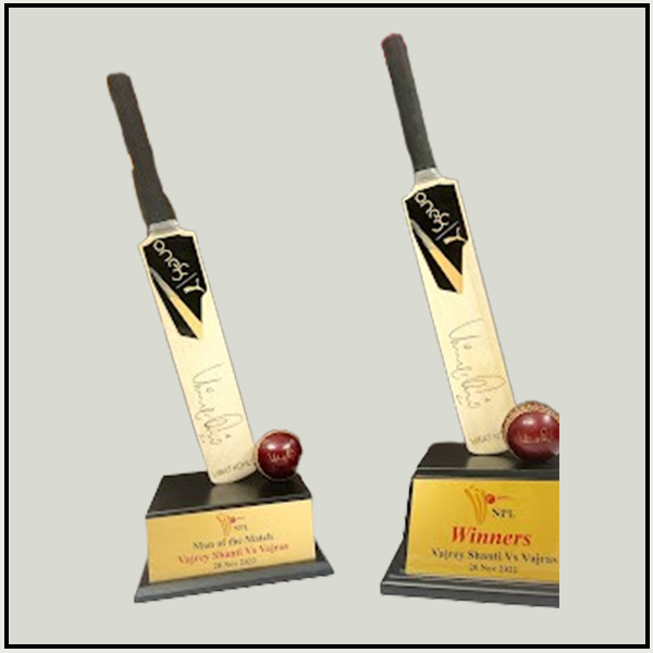 Best Cricket Trophies & Awards Manufacturers in Delhi | TrophyIndia.in