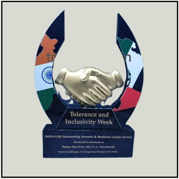 Customized International Partnership Awards | Global Leader Trophies Delhi