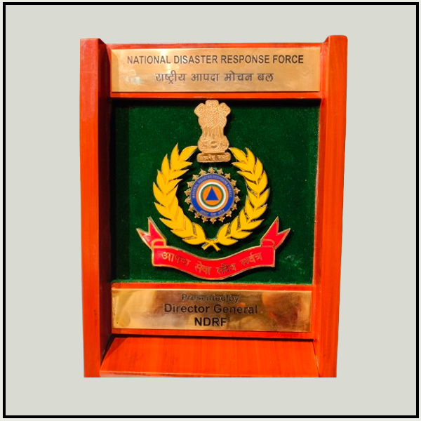 Government & Military Wooden Mementos | Custom Shield Awards Delhi