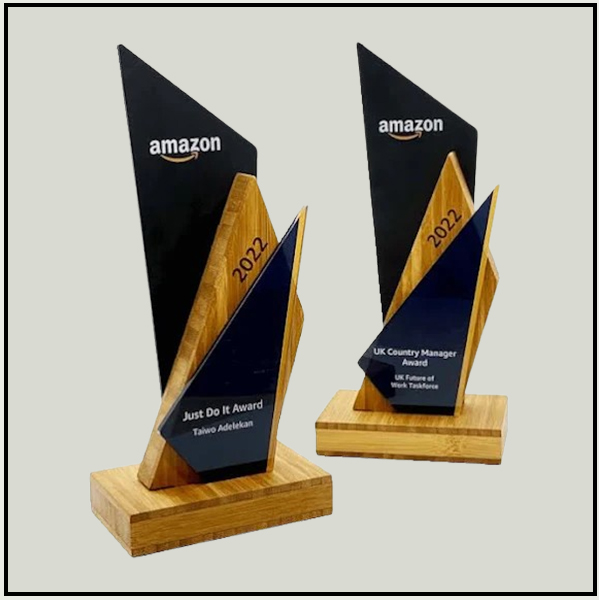Premium Modern Corporate Awards Delhi | Abstract Geometric Trophies