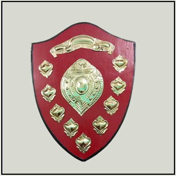 Traditional Wooden Shield Awards Delhi | Multi-Emblem Sports Trophies