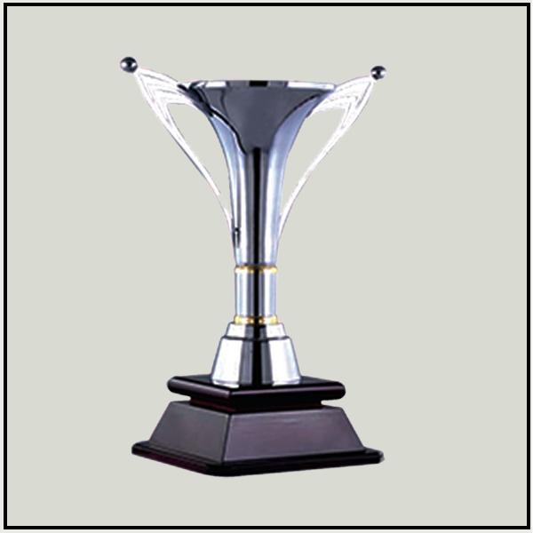 Premium Silver Sports Trophy Award | Customized Metal Trophies Delhi