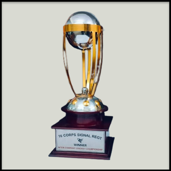 Premium Cricket Championship Trophy | Customized Metal Awards Delhi