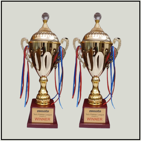 Premium Gold Sports Trophy Cup | Custom Awards Delhi NCR