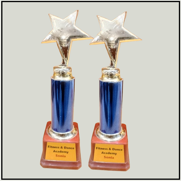 Buy Customized Star Achievement Trophy Online | Trophy India