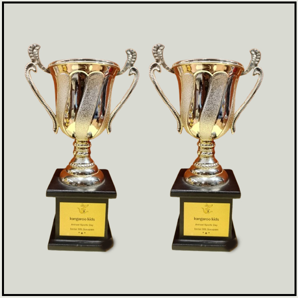Buy Silver Sports Trophy Cups Online | Custom Metal Awards Delhi