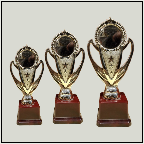 Gold Finish Sports Trophies | Star Achievement Awards | Trophy India