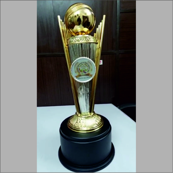 Premium Cricket Trophy – Customized Metal & Brass Trophy | Men of the Match Award | Delhi Manufacturer