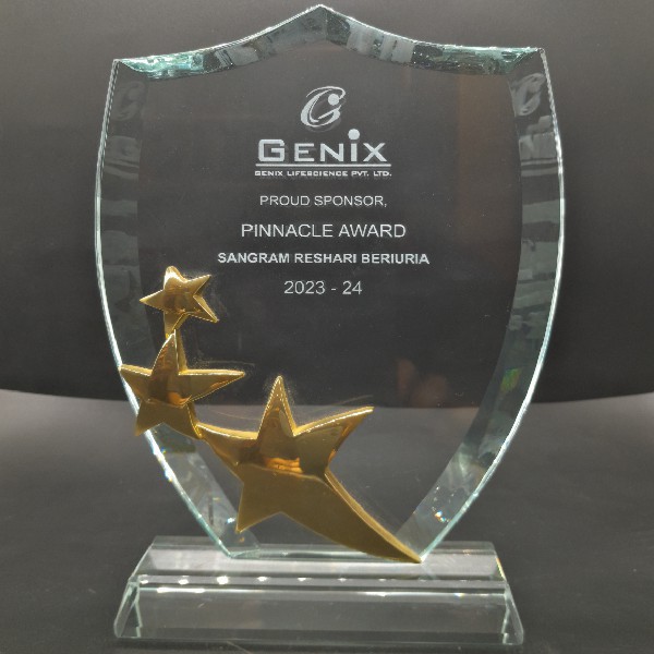 Gold Star Shield Glass Trophy | Premium Excellence Award