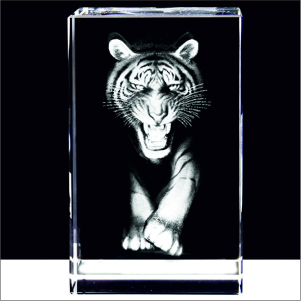 Premium Crystal Cube Trophies & Gifts in Delhi NCR | Trophy India