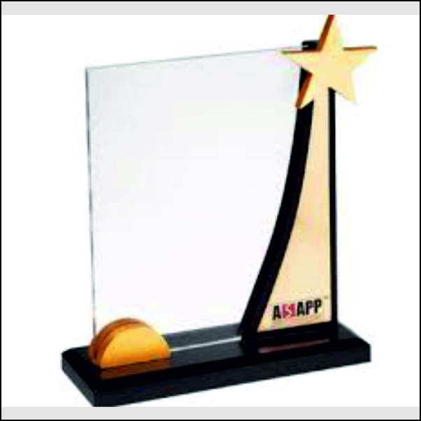 Acrylic Plaque Trophy with Golden Star Accent - Custom UV Printing