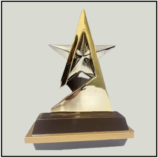 Customized Star Performer Award | Dual-Tone Metal Trophies Delhi
