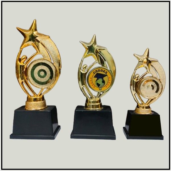 Custom Star Fiber Trophies | Budget Achievement Awards Delhi-NCR
