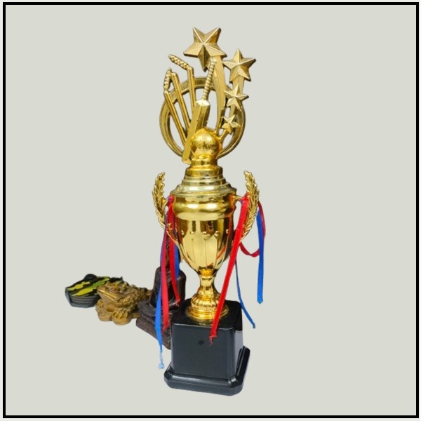 Buy Cricket Fiber Trophies Delhi NCR | Custom Cricket Awards