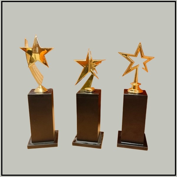 Custom Star Metal Awards | Gold Finish Trophies for Corporate & Schools