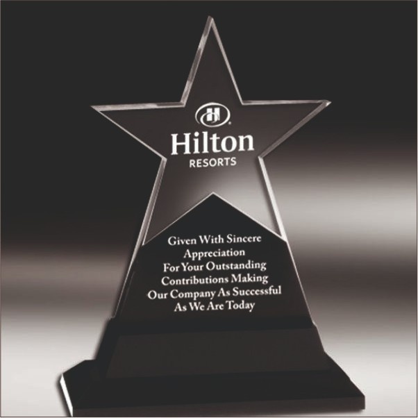 Star Shaped Acrylic Trophy with Custom UV Printing - Budget Friendly