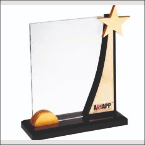 Acrylic Plaque Trophy with Golden Star Accent - Custom UV Printing