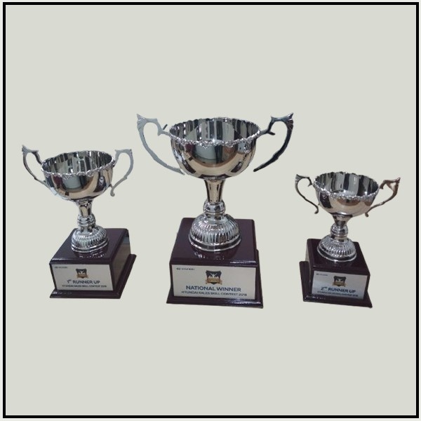 Premium Handcrafted Silver Plated Championship Cup