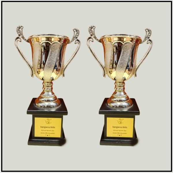 Buy Silver Sports Trophy Cups Online | Custom Metal Awards Delhi