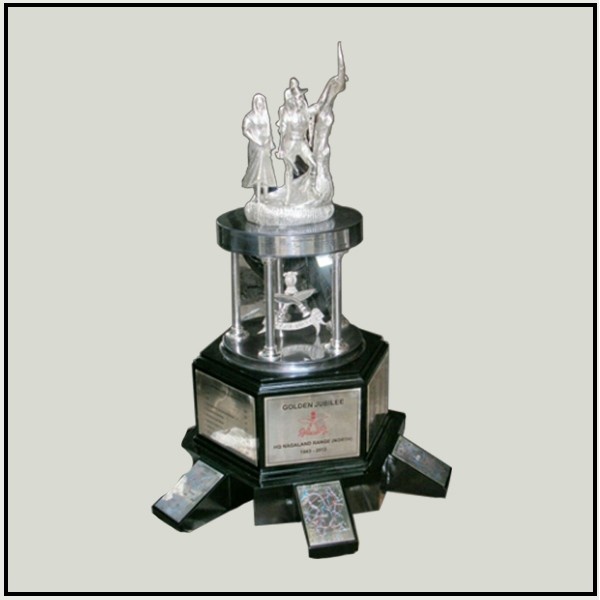 Customized Trophy